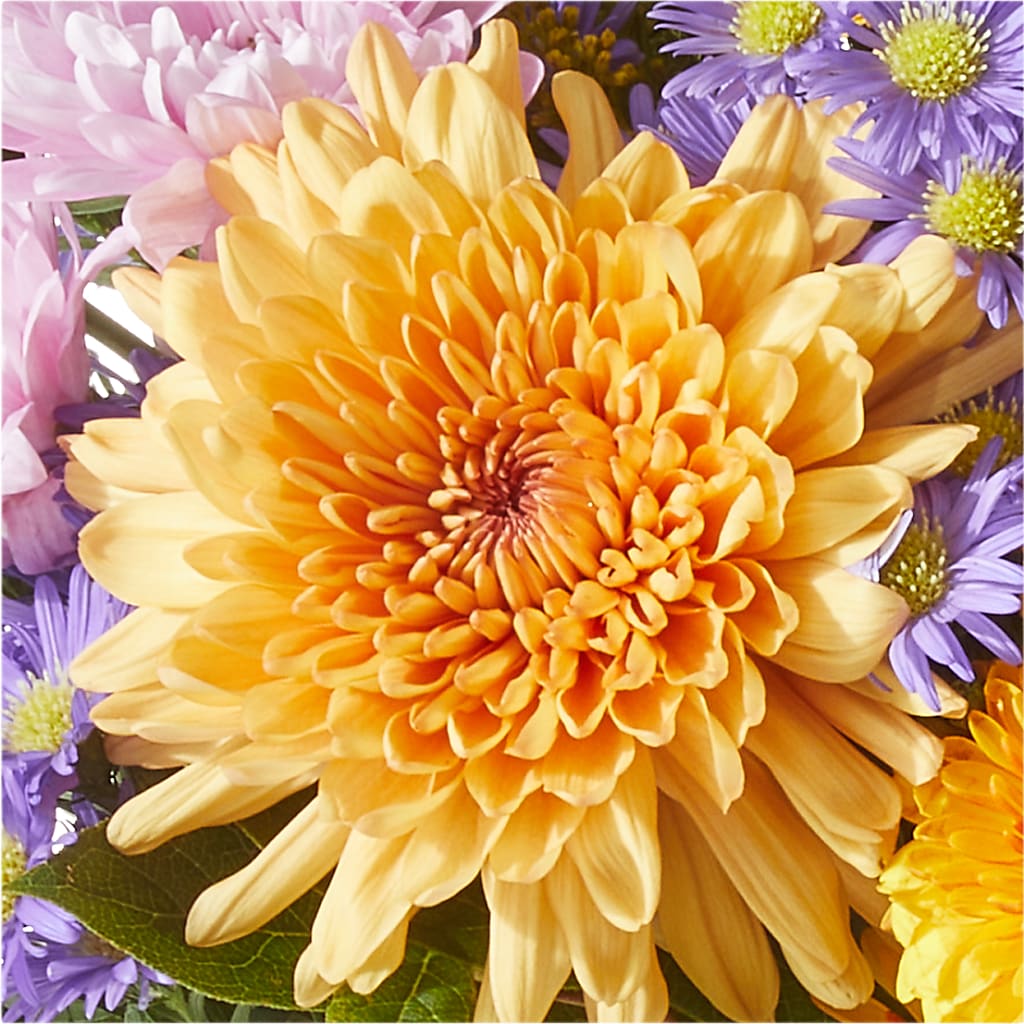 Countryside Bouquet –  Rimmon Heights Florist, Manchester NH