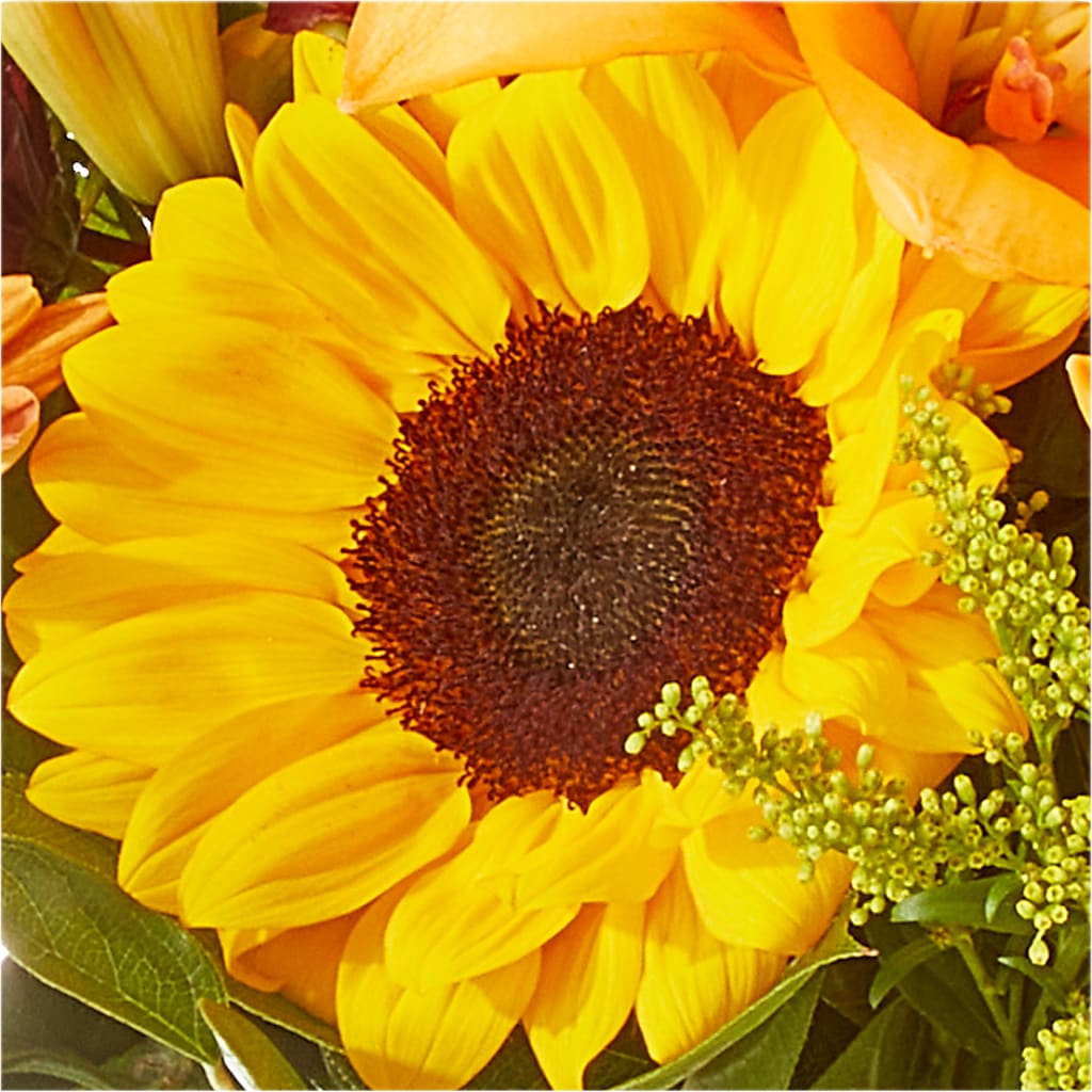Seasons Change Bouquet –  Rimmon Heights Florist, Manchester NH