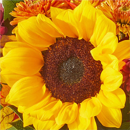 Sunny Side Bouquet –  Rimmon Heights Florist, Manchester NH