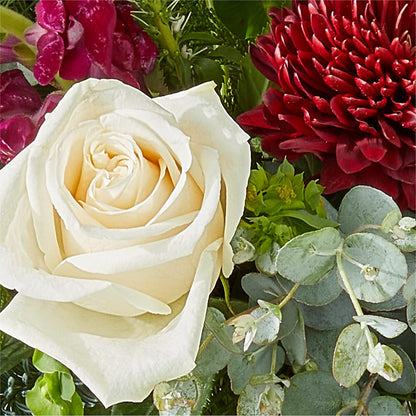 Cranberry Fizz Bouquet –  Rimmon Heights Florist, Manchester NH