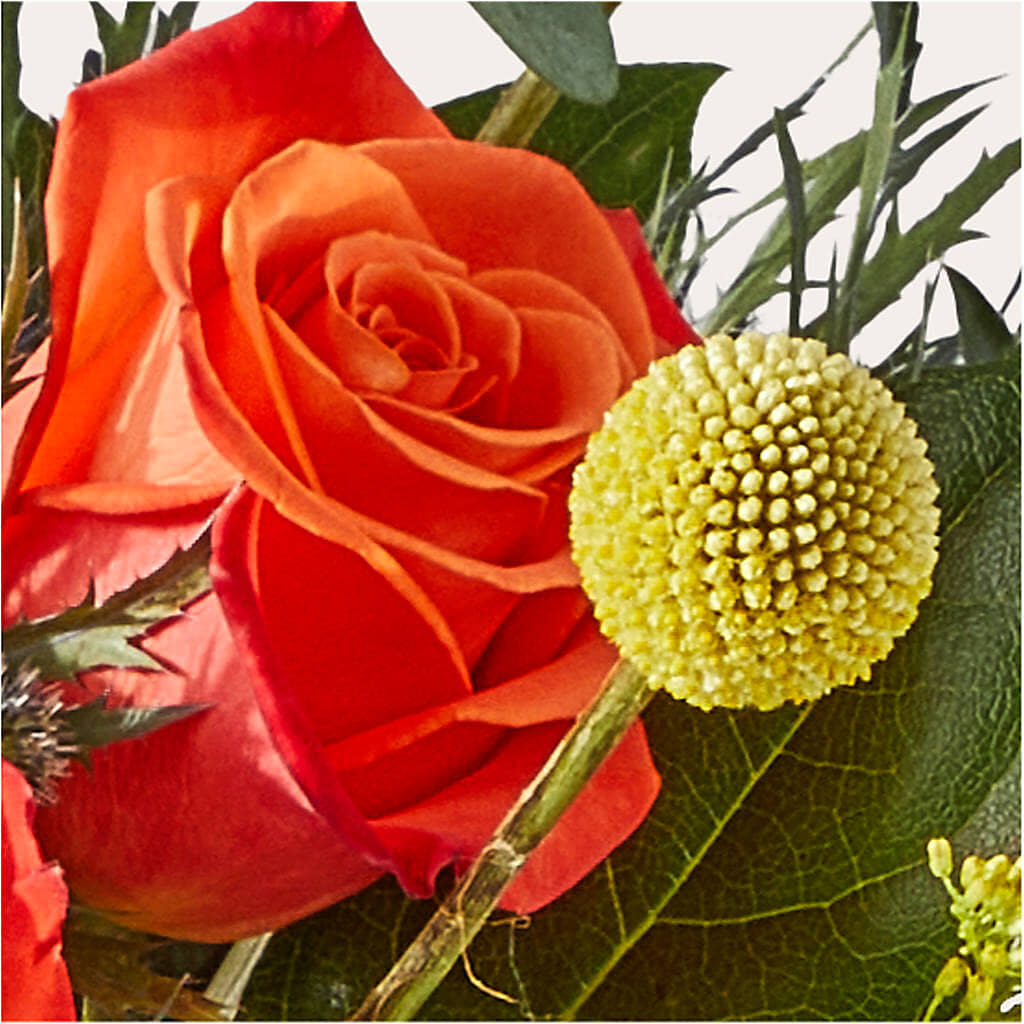 Disco Bouquet –  Rimmon Heights Florist, Manchester NH