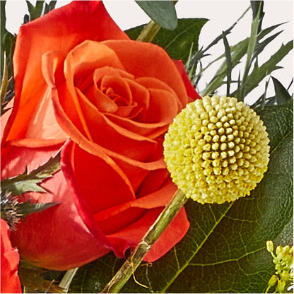 Disco Bouquet –  Rimmon Heights Florist, Manchester NH