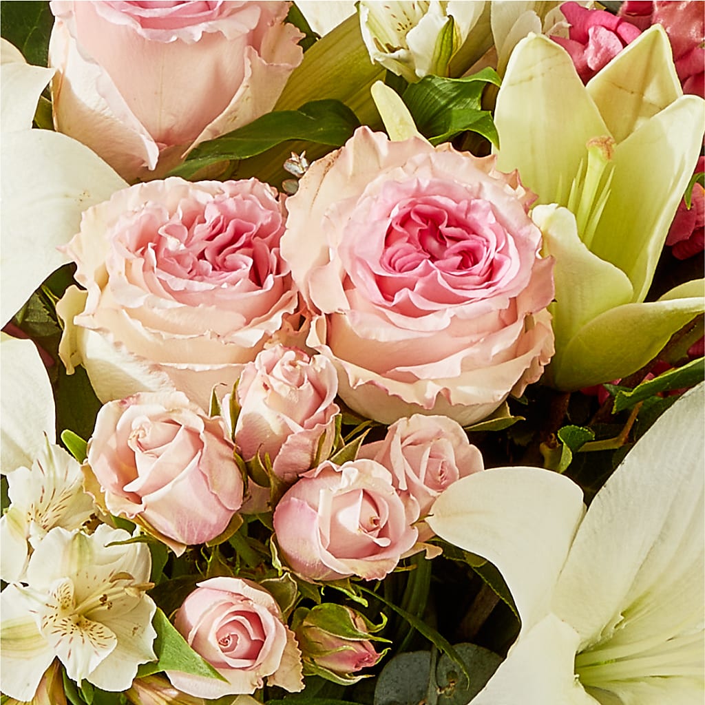 Ballet Slippers Bouquet –  Rimmon Heights Florist, Manchester NH
