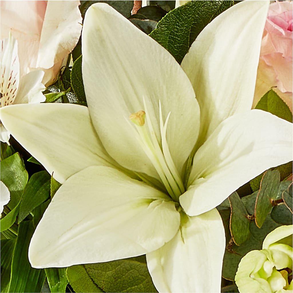 Ballet Slippers Bouquet –  Rimmon Heights Florist, Manchester NH