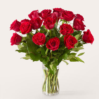The One Red Rose Bouquet –  Rimmon Heights Florist, Manchester NH