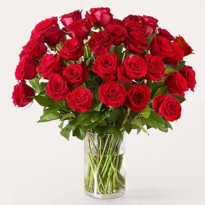 The One Red Rose Bouquet –  Rimmon Heights Florist, Manchester NH