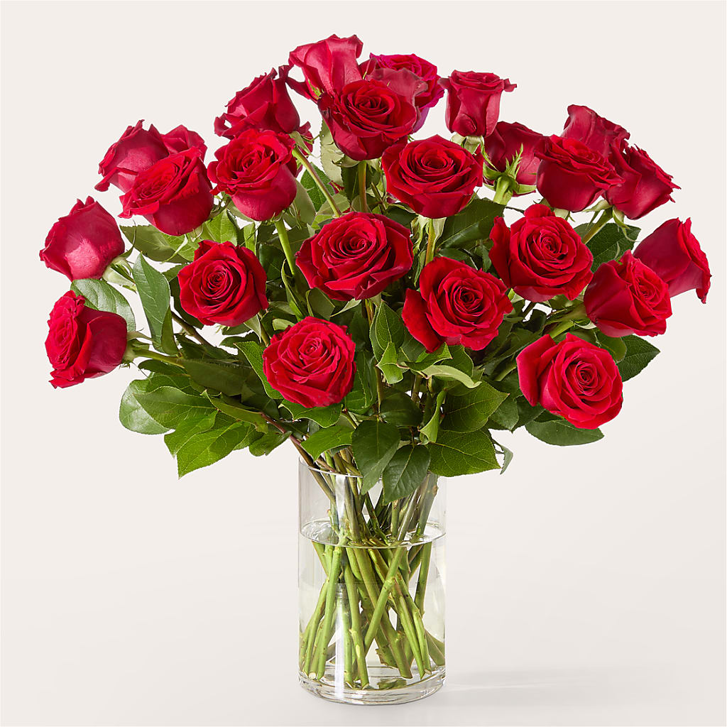 The One Red Rose Bouquet –  Rimmon Heights Florist, Manchester NH