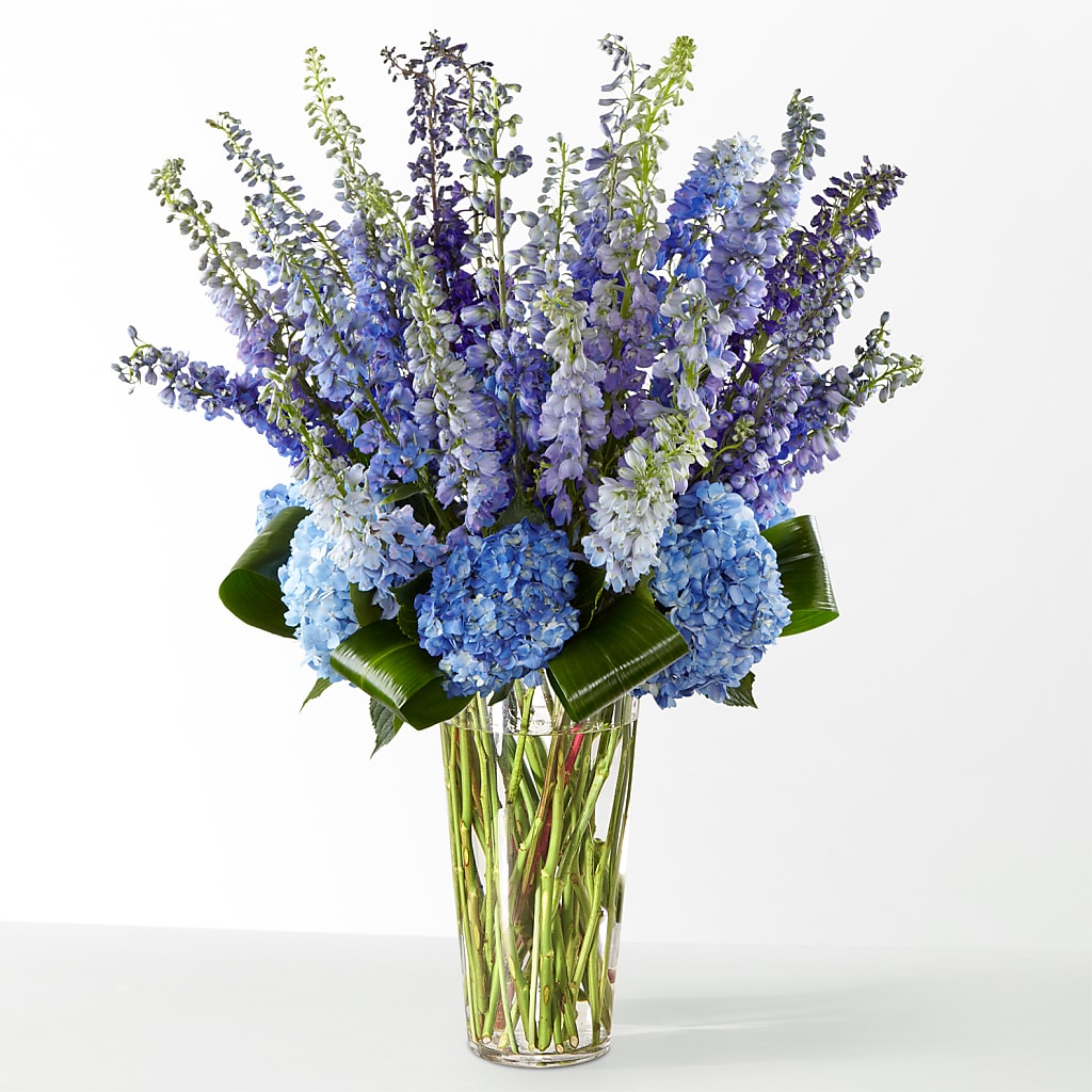The Editorial –  Rimmon Heights Florist, Manchester NH