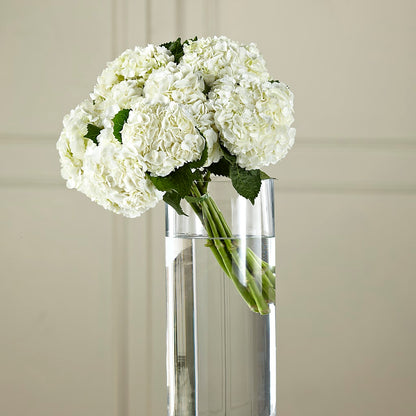 White Hydrangea Hand-Tied Bouquet –  Rimmon Heights Florist, Manchester NH