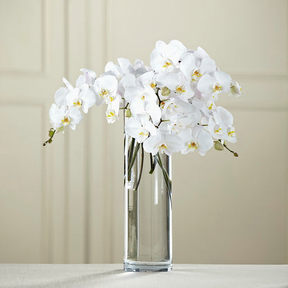 White Phalaenopsis Bouquet –  Rimmon Heights Florist, Manchester NH
