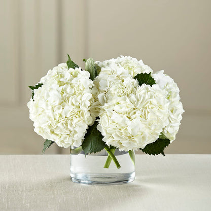 White Hydrangea Bouquet –  Rimmon Heights Florist, Manchester NH